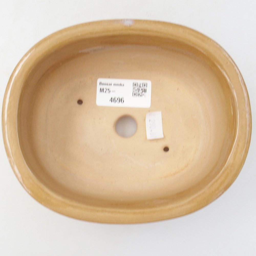 Keramik-Bonsaischale 15,5 x 12 x 5,5 cm, Farbe Beige