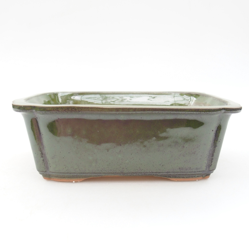 Keramik-Bonsaischale 17,5 x 12,5 x 6 cm, Farbe Grün