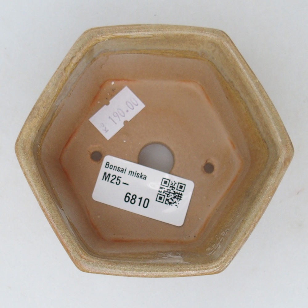 Bonsaischale aus Keramik 10,5 x 9,5 x 5 cm, Farbe beige