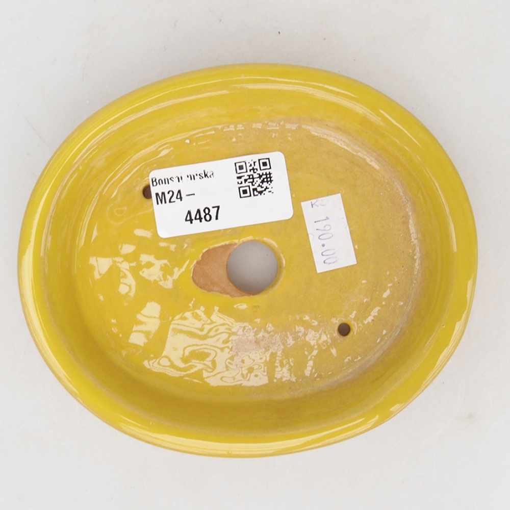 Keramik-Bonsaischale 15 x 11 x 3,5 cm, Farbe gelb