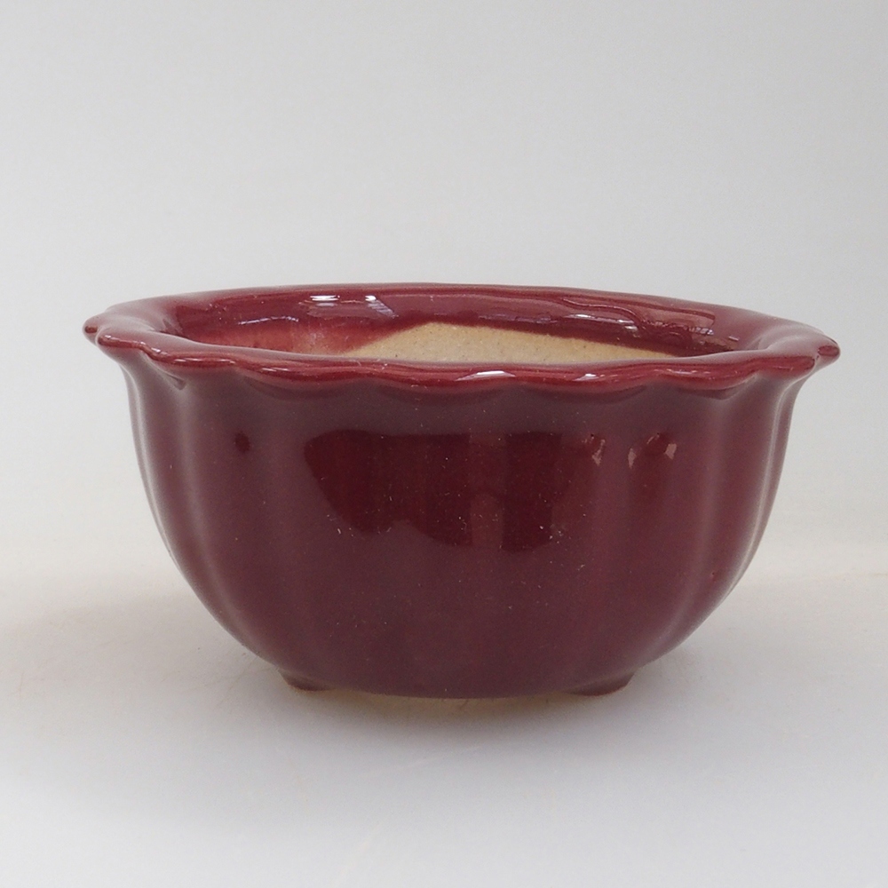 Mini-Bonsaischale 6,5 x 6,5 x 3,5 cm, Farbe Burgunder