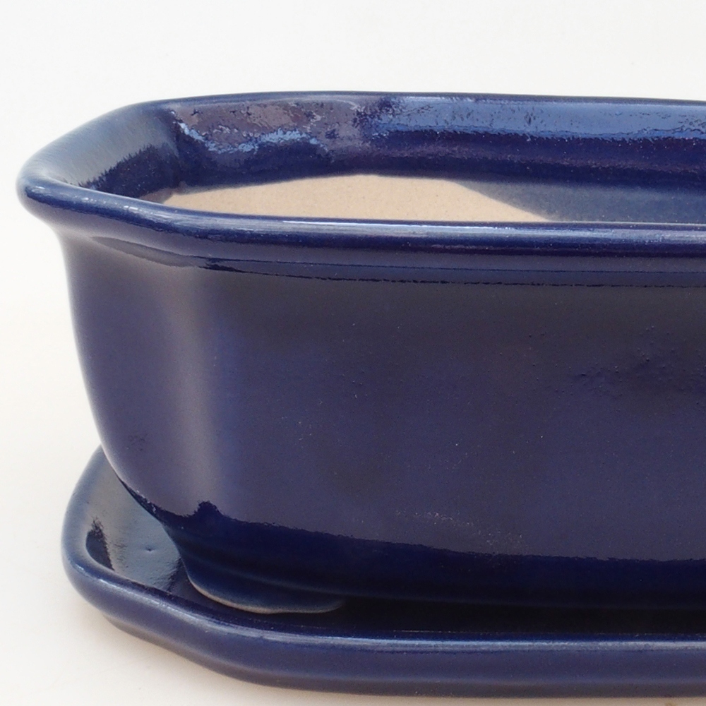 Bonsai-Schale + Untertasse H31 – Blau