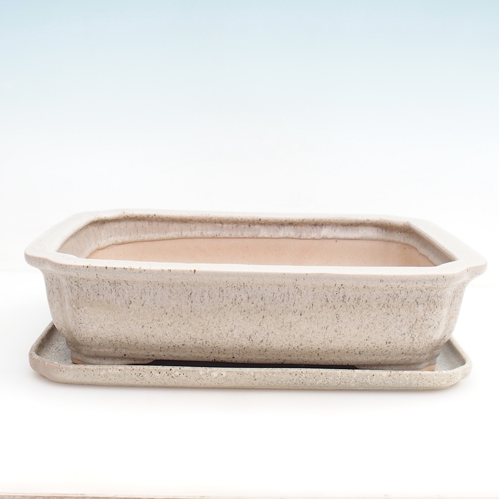 Bonsaischale + Untertasse H20 - 26,5 x 21,5 x 6,5 cm - beige
