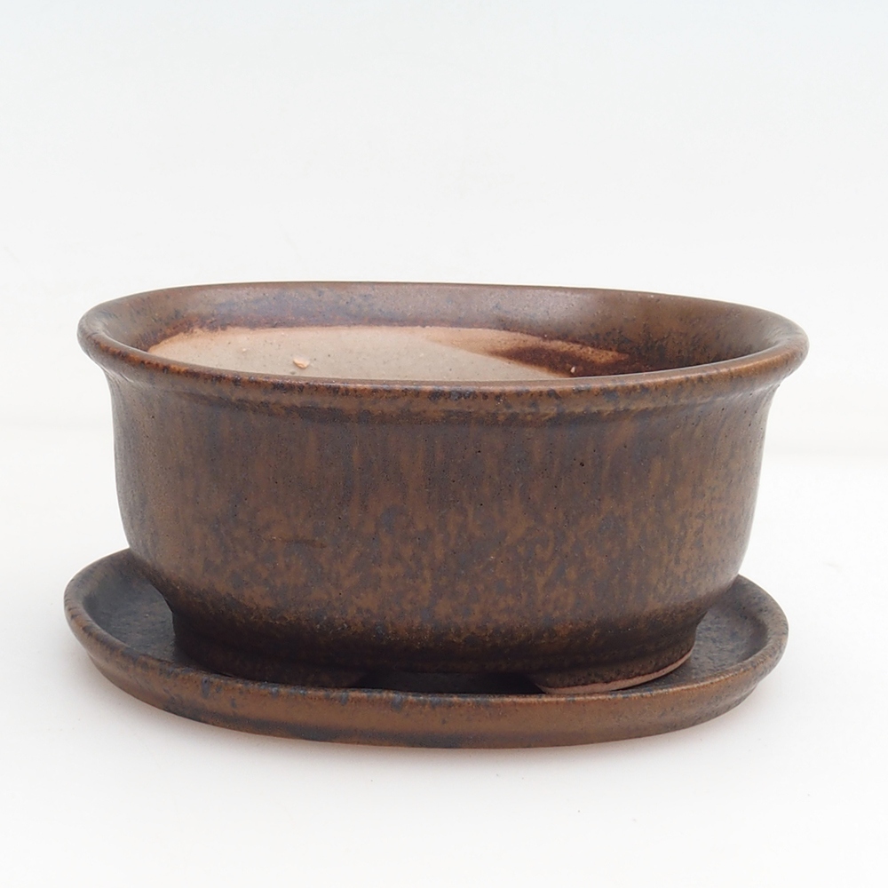 Bonsaischale + Untertasse H30 - 12 x 10,5 x 5,5 cm.