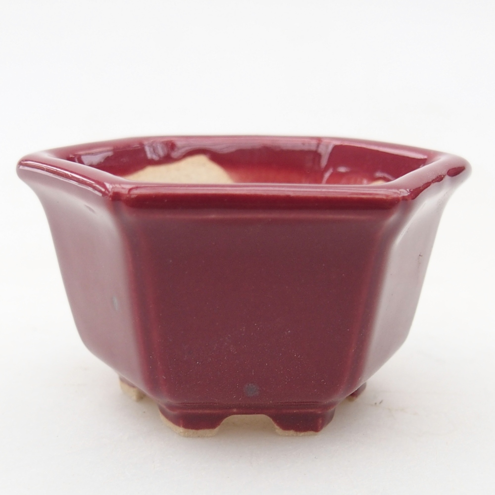 Mini-Bonsaischale 5 x 4,5 x 3 cm, bordeauxrot