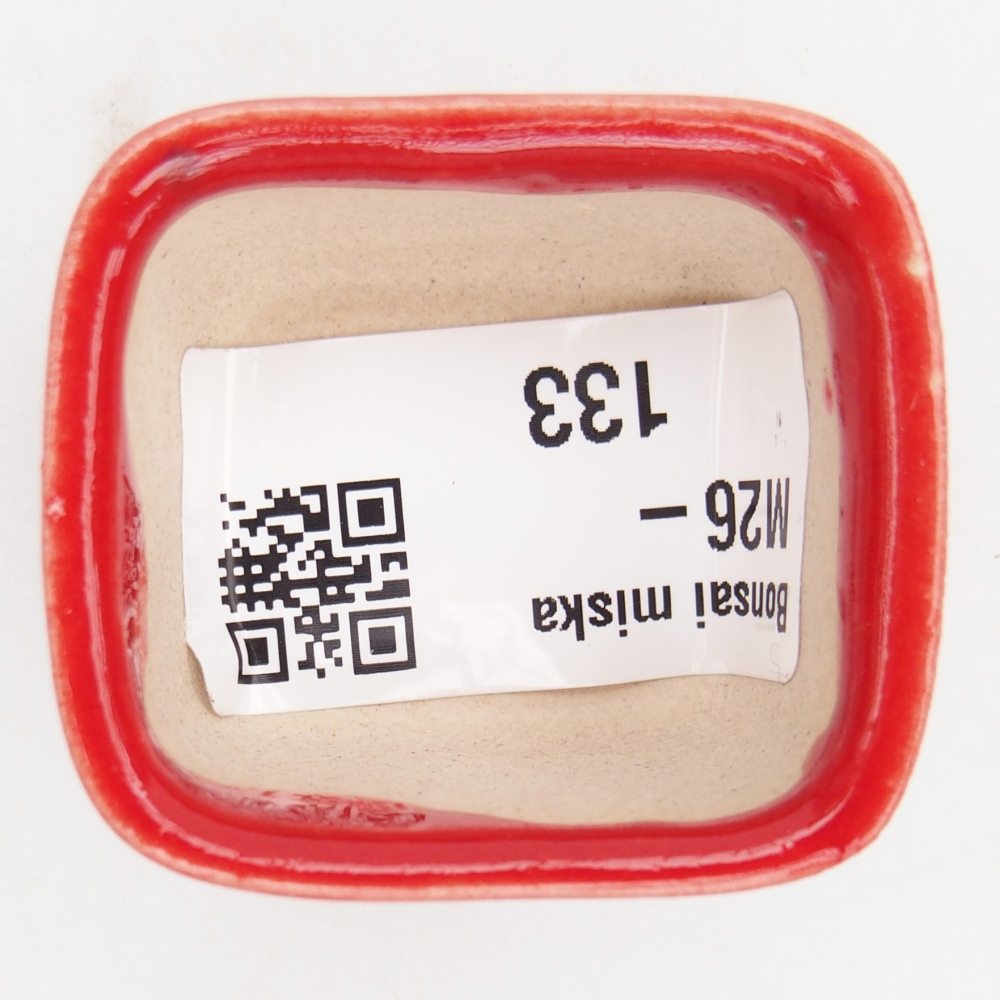 Mini-Bonsaischale 4 x 3,5 x 2,5 cm, Farbe rot