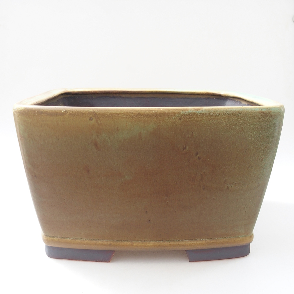 Bonsaischale aus Keramik 26,5 x 26,5 x 16 cm, grün