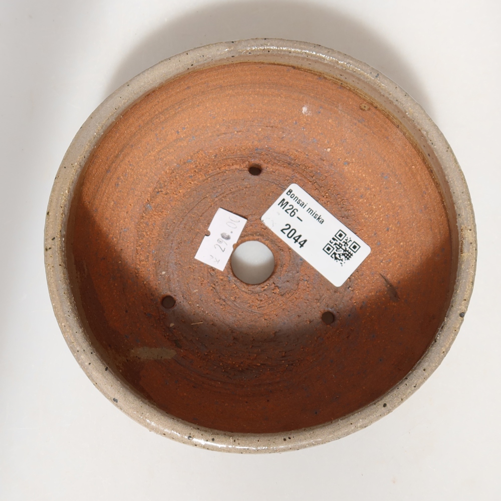 Keramik-Bonsai-Schale, 14 x 14 x 5,5 cm, Farbe: Beige