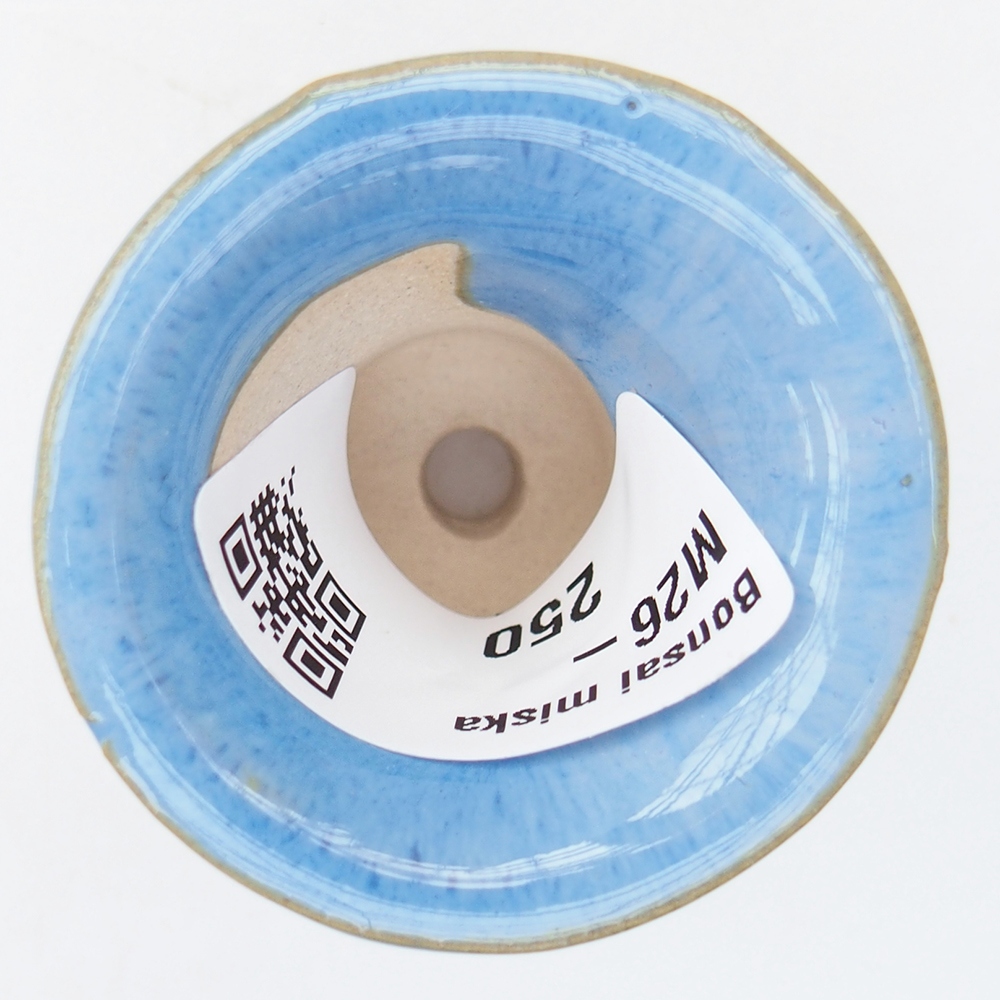 Mini-Bonsaischale 4,5 x 4,5 x 3,5 cm, Farbe blau