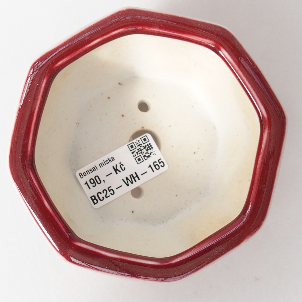 Bonsaischale aus Keramik 11,5 x 11 x 5 cm, Farbe rot