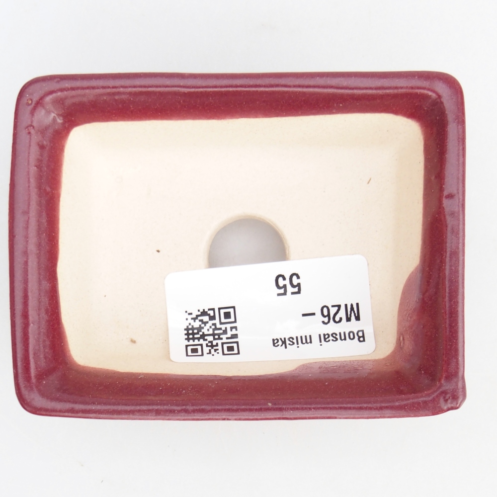 Mini-Bonsaischale 8 x 6 x 2,5 cm, bordeauxrot