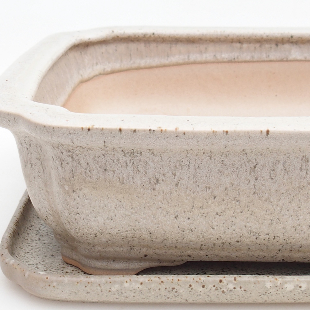 Bonsaischale + Untertasse H20 - 26,5 x 21,5 x 6,5 cm - beige