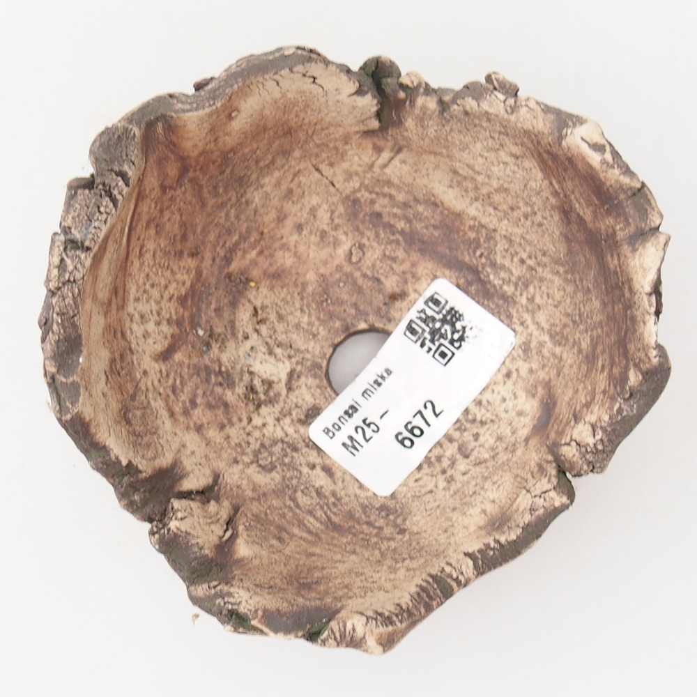 Keramische Muschel 10 x 10 x 5,5 cm, Farbe grün