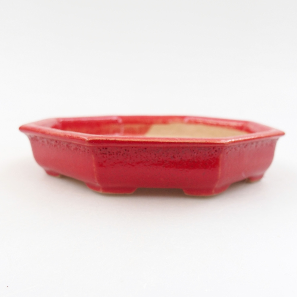 Keramik-Bonsaischale 11,5 x 11,5 x 2,5 cm, Farbe rot