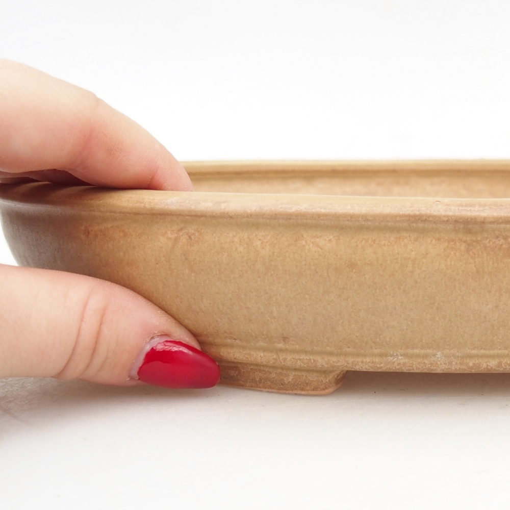 Bonsaischale aus Keramik 24,5 x 20 x 4 cm, Farbe beige