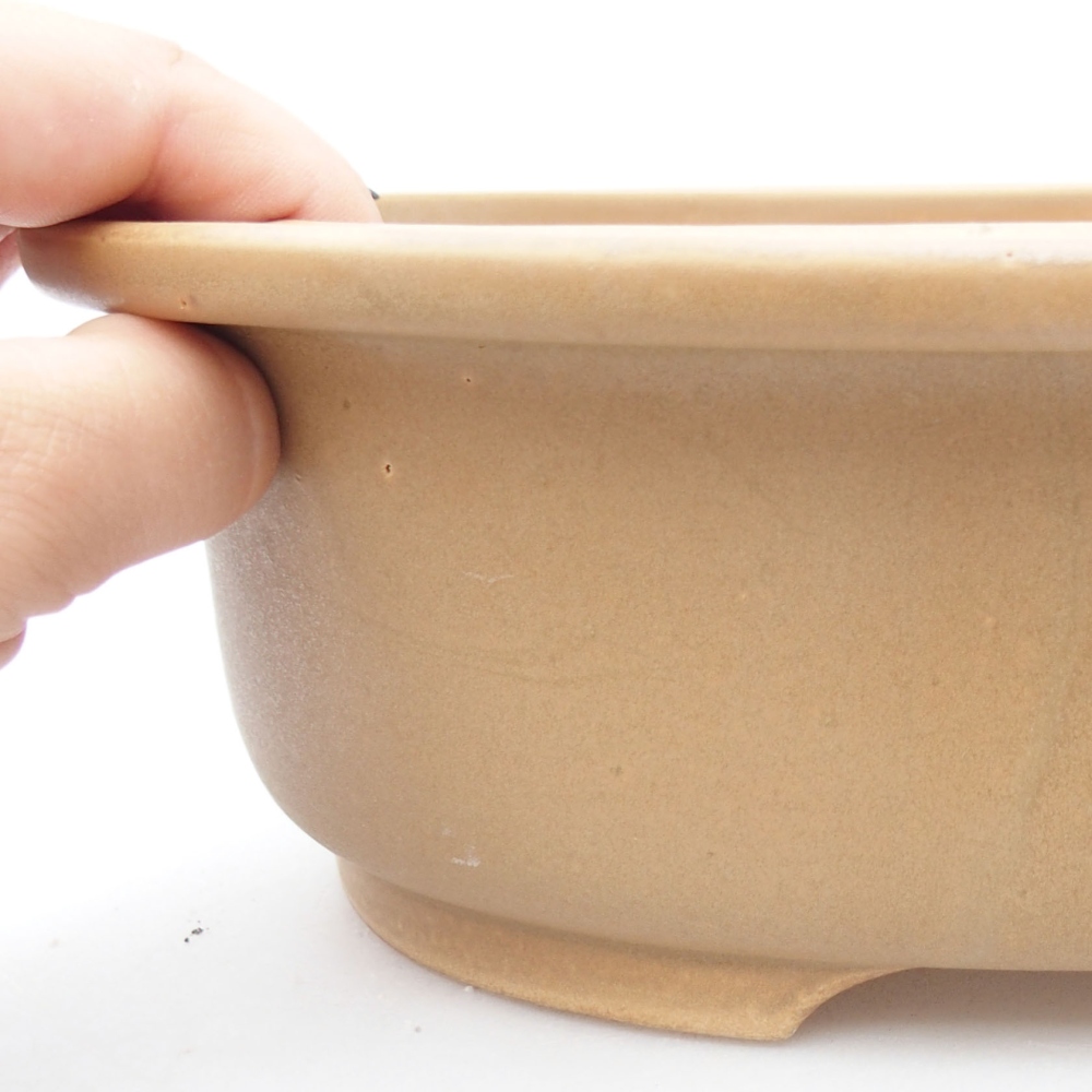 Keramik-Bonsaischale 26 x 22 x 8 cm, Farbe beige