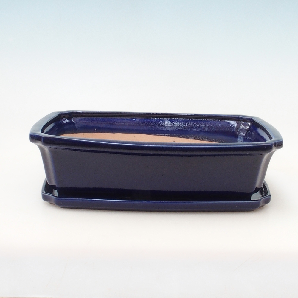 Bonsai-Schale + Unterschale H07 – 30 x 20,5 x 8 cm. – blau