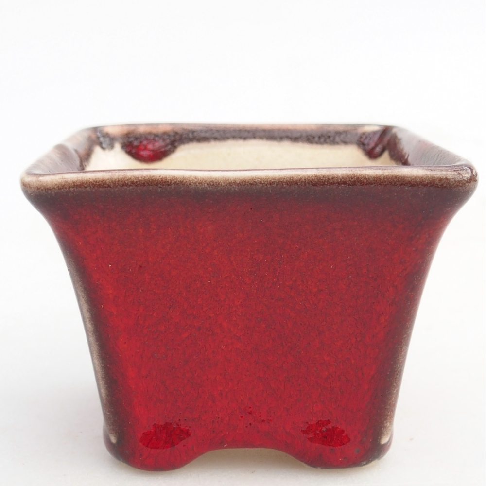 Mini-Bonsaischale 6 x 6 x 5 cm, Farbe rot