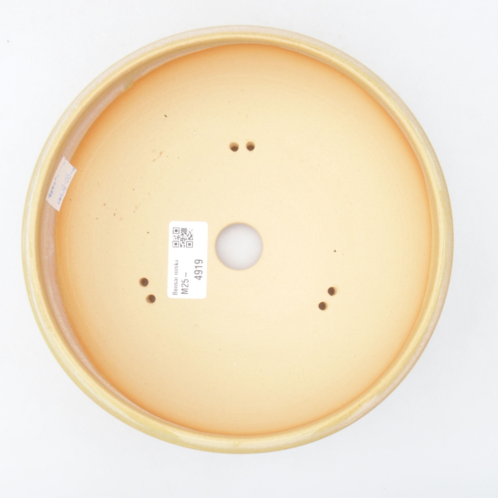 Keramik-Bonsaischale 19,5 x 19,5 x 6 cm, Farbe Beige