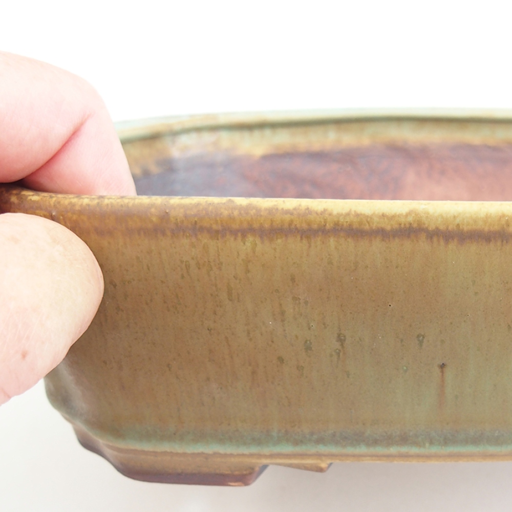 Bonsaischale aus Keramik 21 x 18 x 6 cm, grün