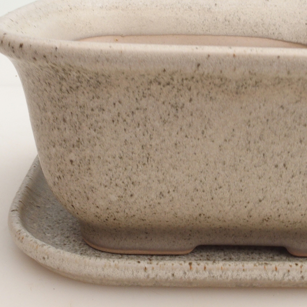Bonsai-Schale + Untertasse H36 – 17 x 15 x 7,5 cm – Beige