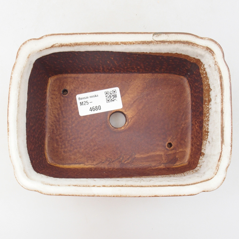 Keramik-Bonsaischale 17 x 13 x 6 cm, Farbe Weiß