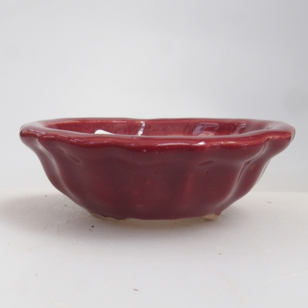 Mini-Bonsaischale 5 x 5 x 1,5 cm, Farbe Burgunder
