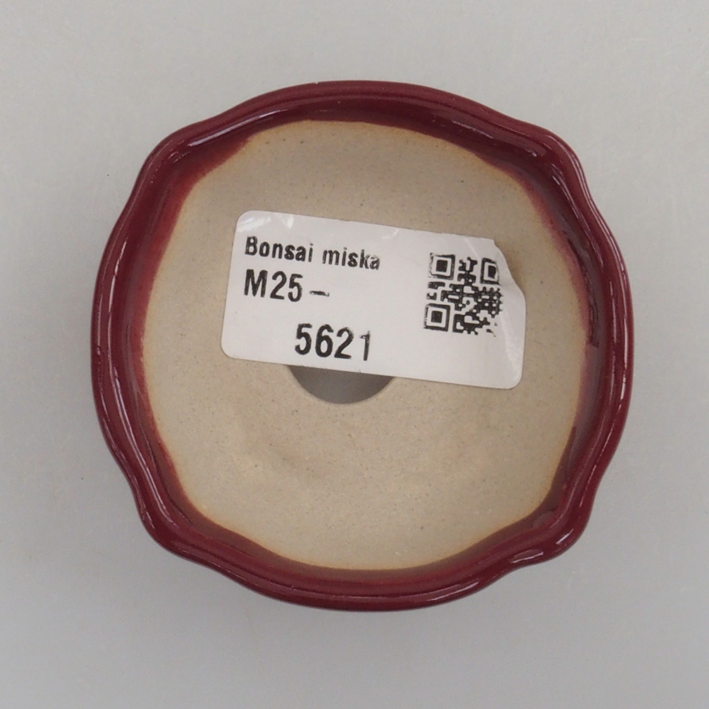 Mini-Bonsaischale 6 x 6 x 2,5 cm, Farbe Burgunder