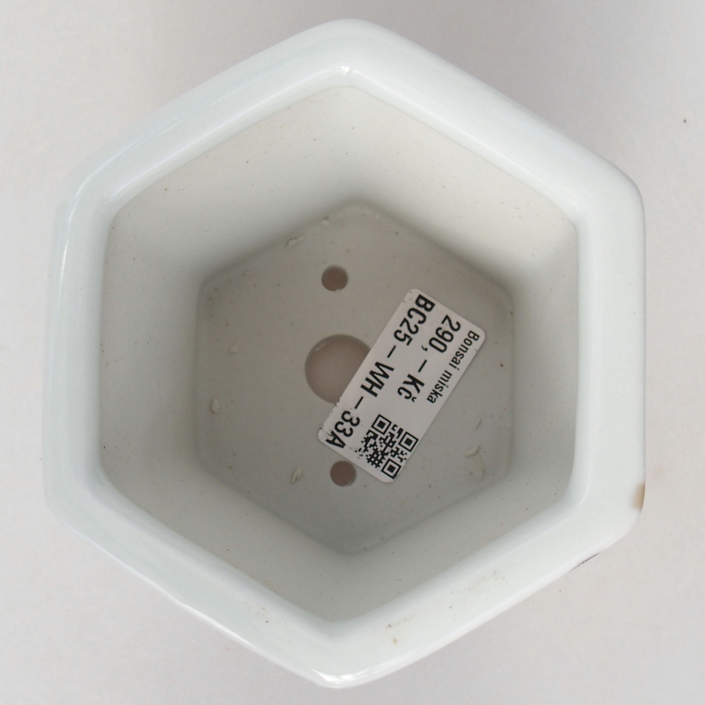 Bonsaischale aus Keramik 10,5 x 9,5 x 9 cm, Farbe weiß