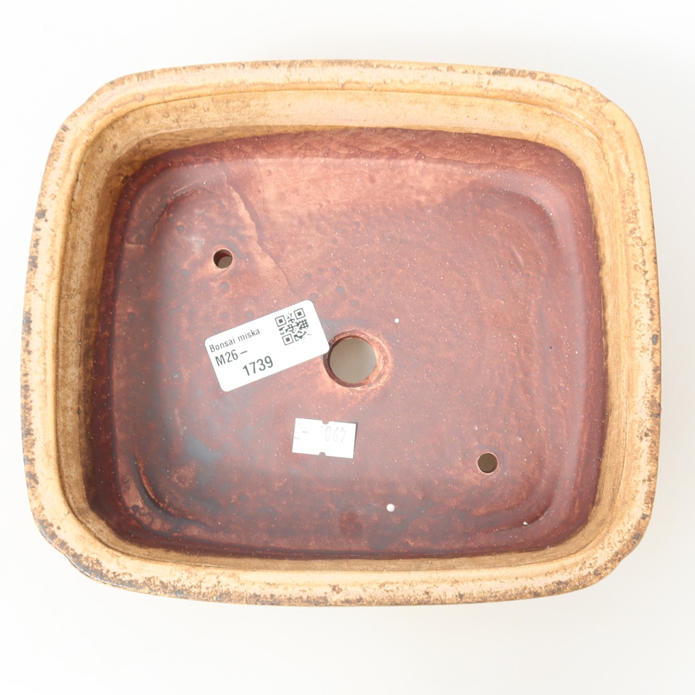 Bonsai-Schale aus Keramik, 19,5 x 17 x 6 cm, Farbe: Rosa