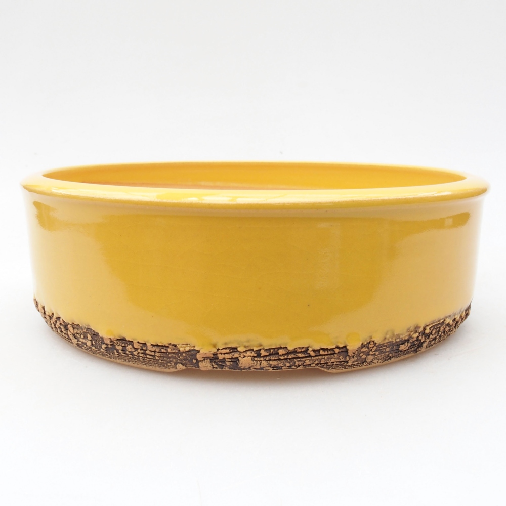 Keramik-Bonsaischale 20,5 x 20,5 x 6 cm, Farbe Gelb