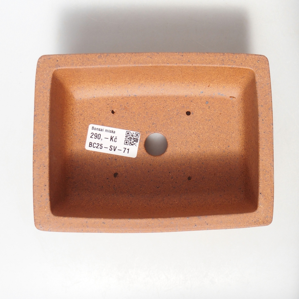 Schale 16 x 12 x 6,5 cm braun