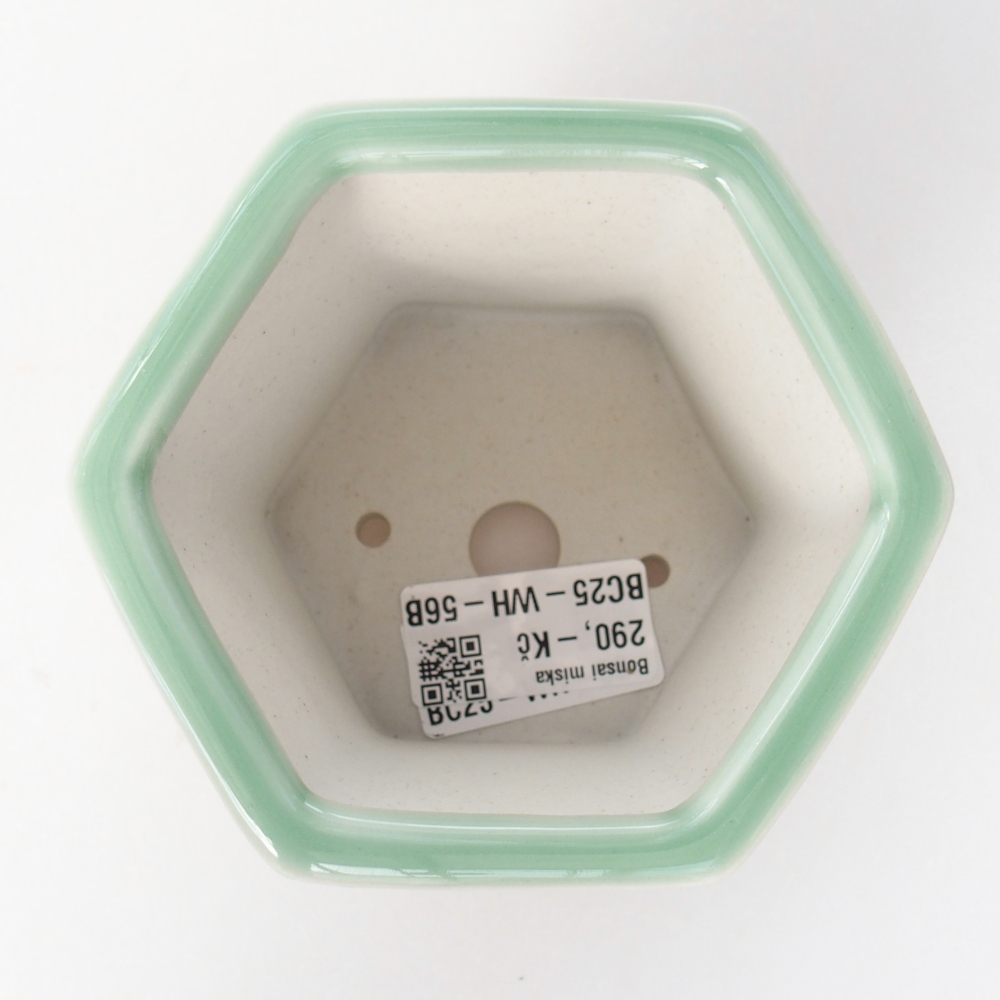 Bonsaischale aus Keramik 10,5 x 9,5 x 8,5 cm, grün
