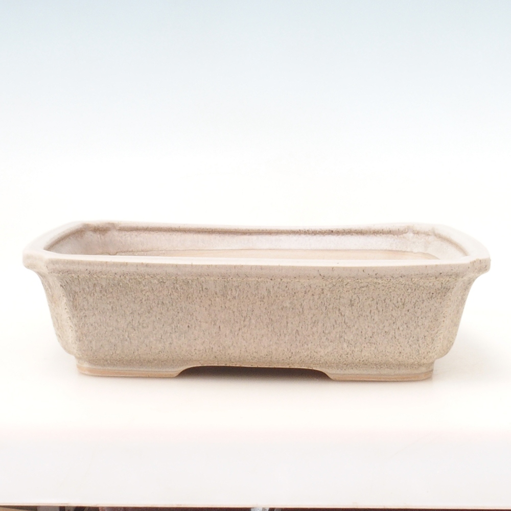 Bonsai-Schale H07 – 30 x 20,5 x 8 cm - beige