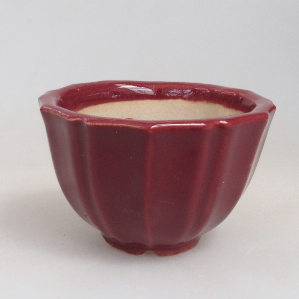 Mini-Bonsaischale 5 x 5 x 3 cm, Farbe Burgunder