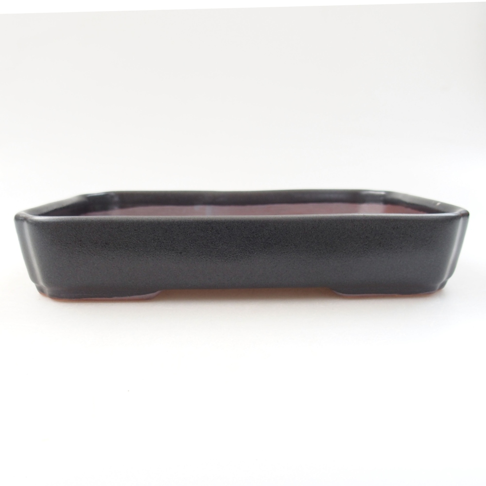 Keramik-Bonsaischale 18 x 13 x 3,5 cm, Farbe grau