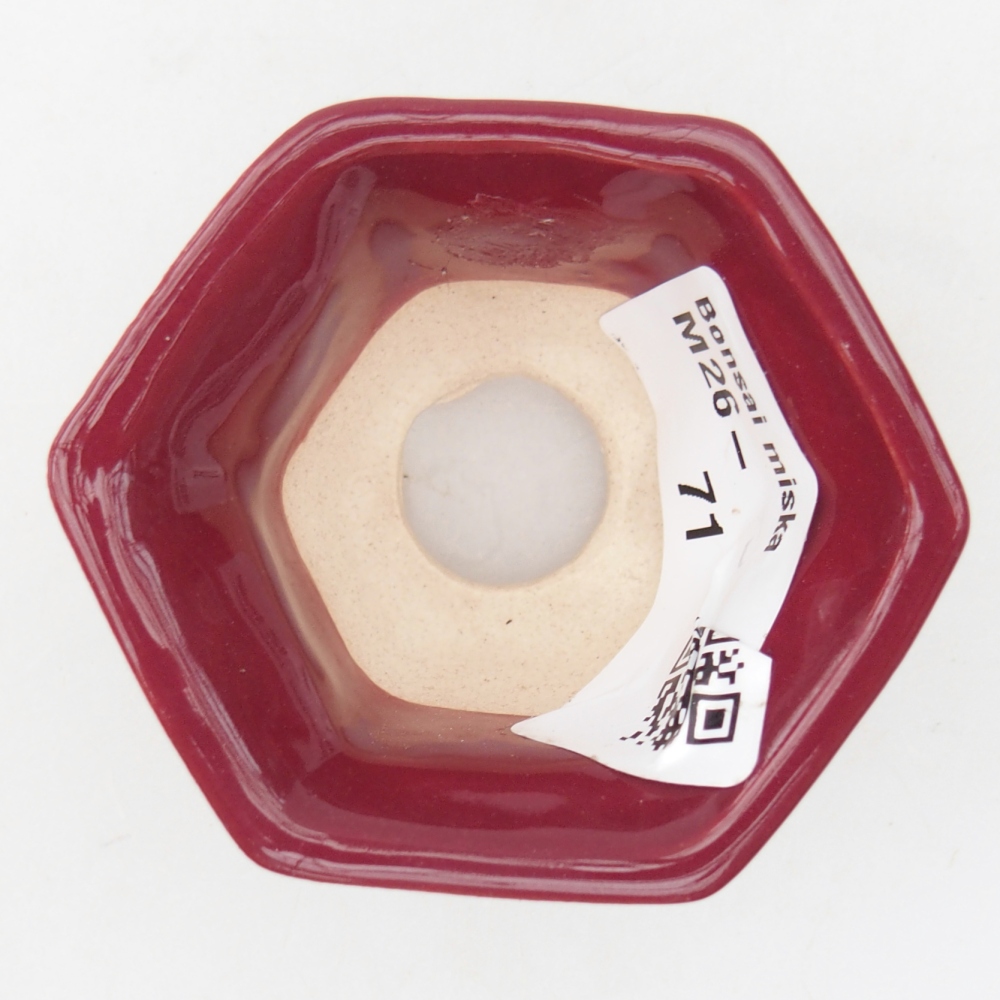 Mini-Bonsaischale 5,5 x 5 x 3 cm, bordeauxrot