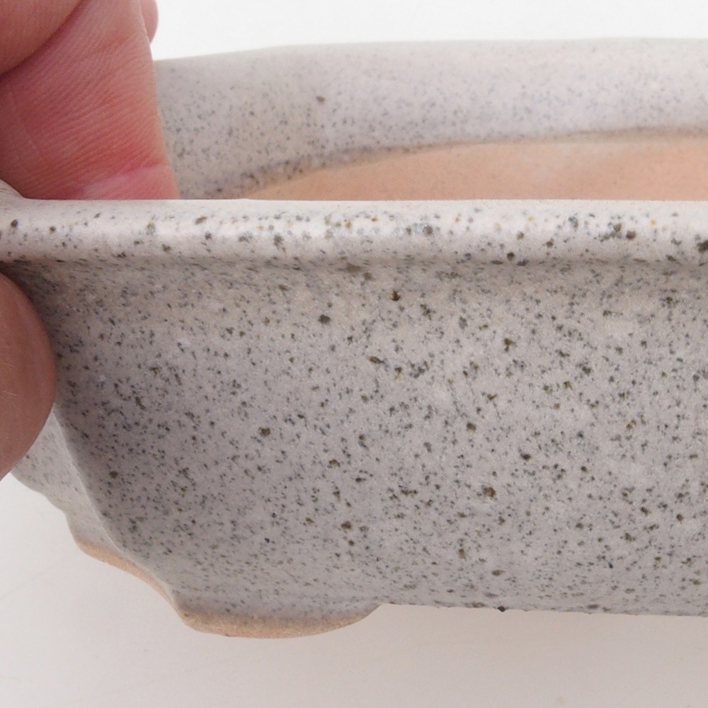 Bonsai-Schale H17 – 15 x 10 x 4 cm – beige