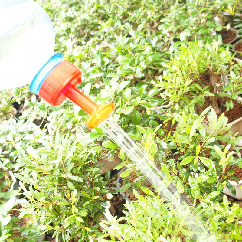 Bonsai Gießkanne für PET-Flasche 10er rot