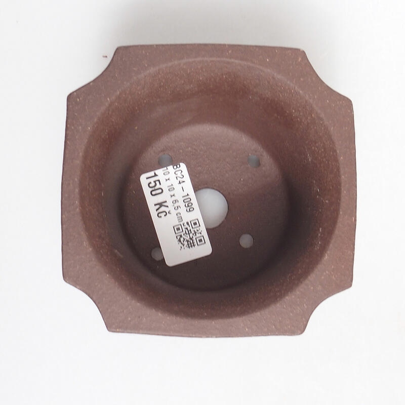 Bonsaischale 10 x 10 x 7 cm, Farbe braun