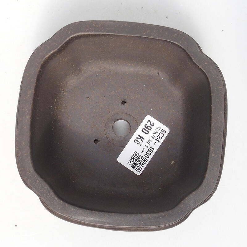 Bonsaischale 12,5 x 12,5 x 6 cm, Farbe brauner Ocker