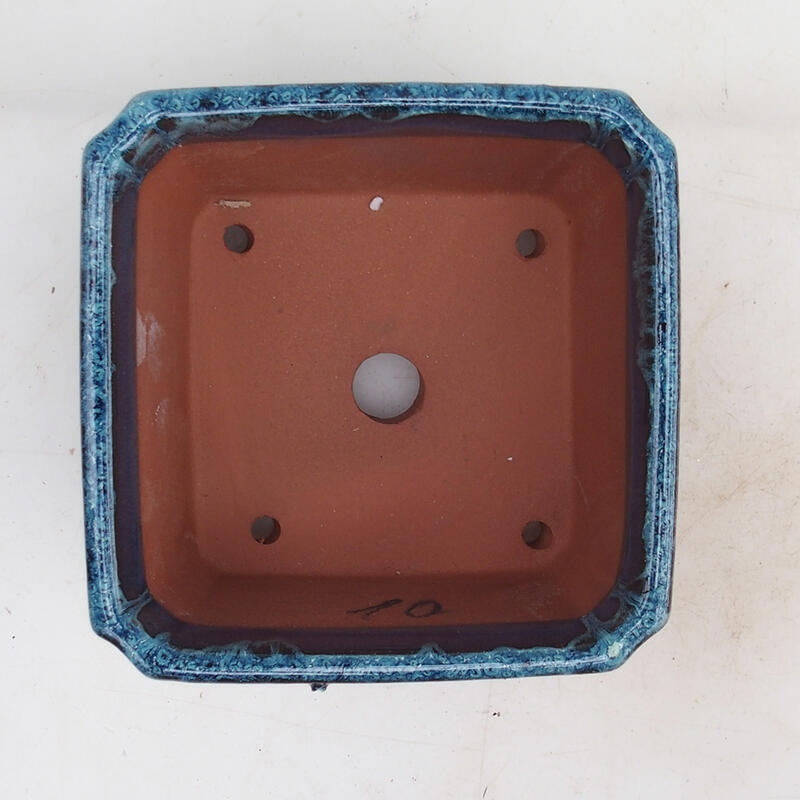 Bonsaischale 12 x 12 x 8 cm, Farbe blau