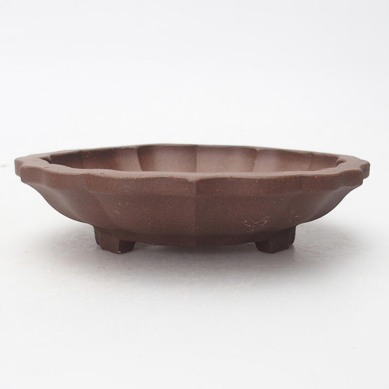 Bonsaischale 14 x 14 x 3,5 cm, Farbe braun