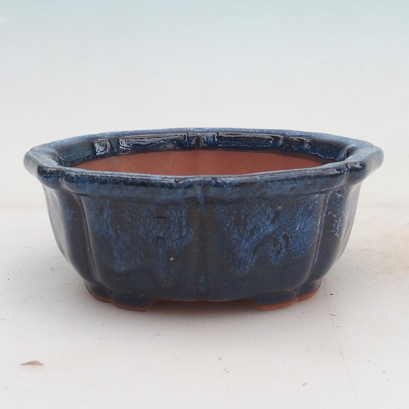 Bonsaischale 14 x 14 x 5,5 cm, Farbe blau