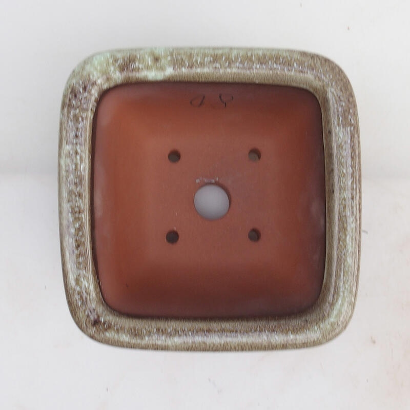 Bonsaischale 14 x 14 x 8 cm, Farbe Burgund