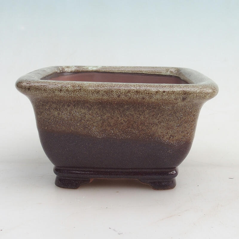 Bonsaischale 14 x 14 x 8 cm, Farbe Burgund