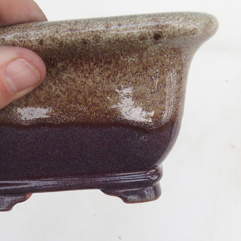 Bonsaischale 14 x 14 x 8 cm, Farbe Burgund