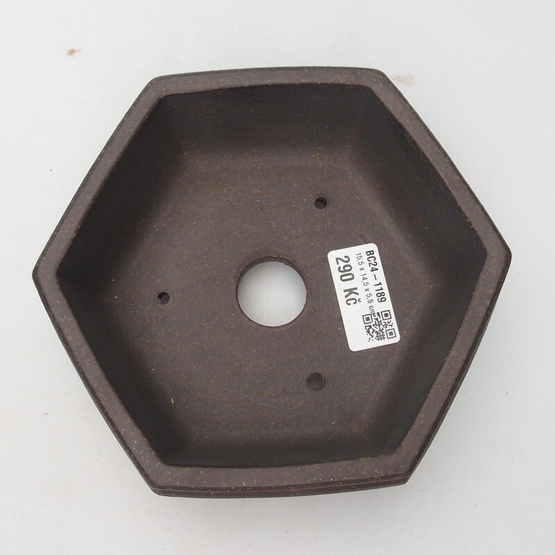Bonsaischale 15,5 x 14,5 x 5,5 cm, Farbe brauner Ocker