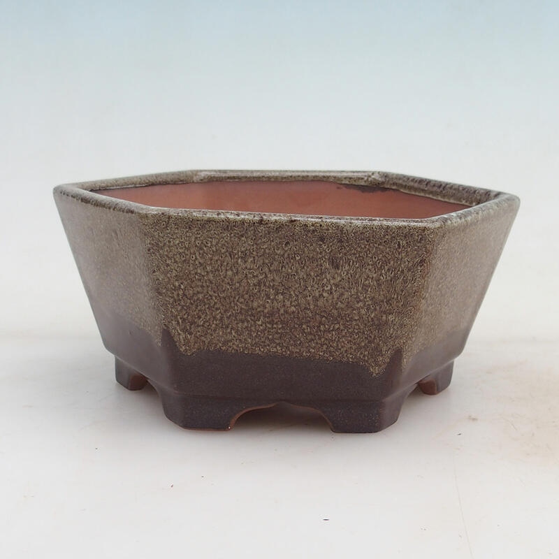 Bonsaischale 15,5 x 14,5 x 7 cm, Weinfarbe