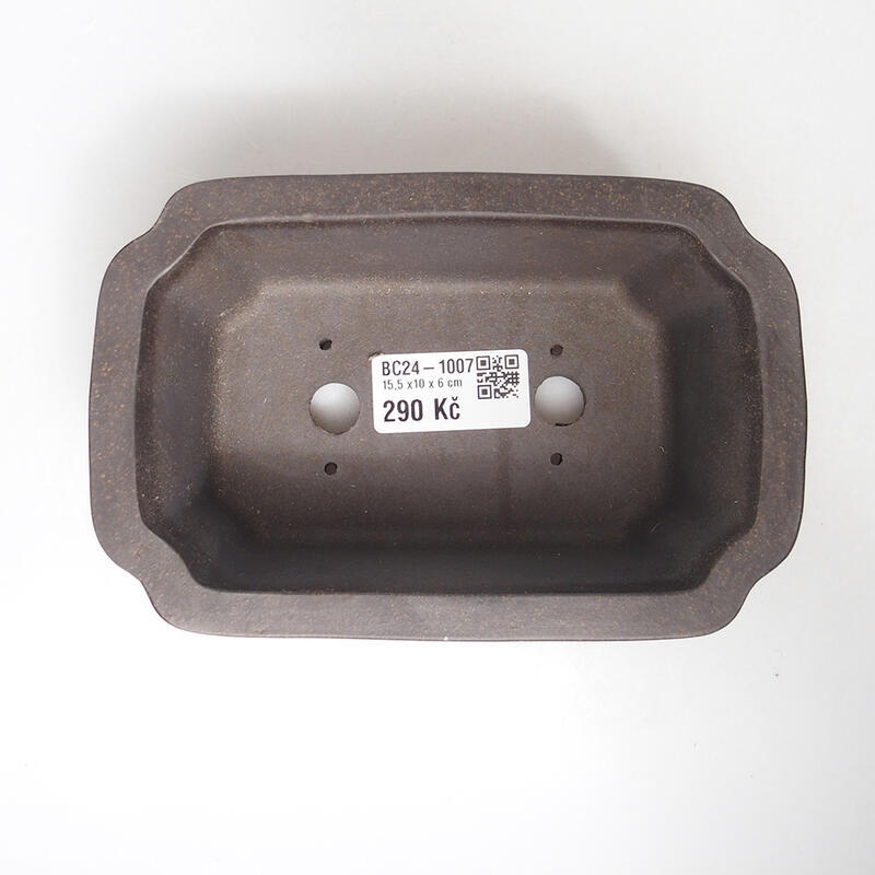 Bonsaischale 15 x 10 x 6 cm, Farbe brauner Ocker